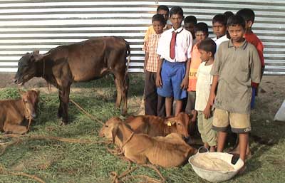 Swami Vipulananda Boys' Home in Palugamam